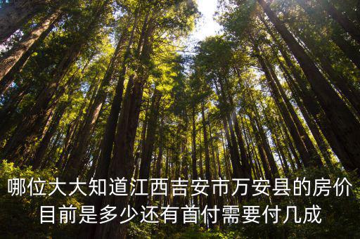 哪位大大知道江西吉安市萬安縣的房價目前是多少還有首付需要付幾成