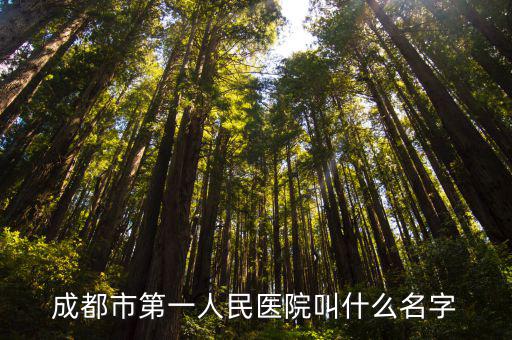 成都市第一人民醫院叫什么名字
