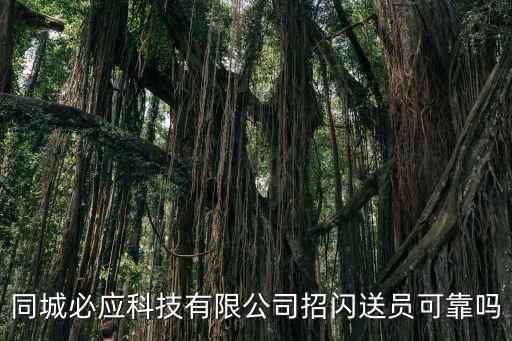 上海市必應(yīng)科技有限公司怎么樣，同城必應(yīng)科技有限公司招閃送員可靠嗎