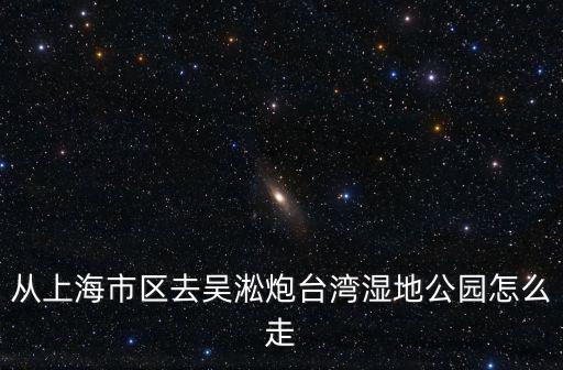 上海市區去吳淞口炮臺，從華夏東路去吳淞炮臺公園的路線想坐地鐵去