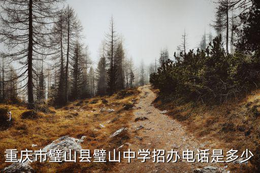 重慶市璧山中學校分班，璧山中學有幾個班