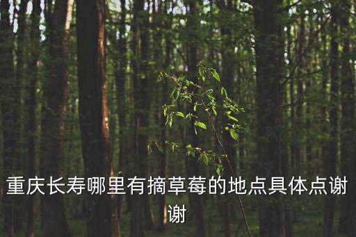 重慶長壽哪里有摘草莓的地點具體點謝謝