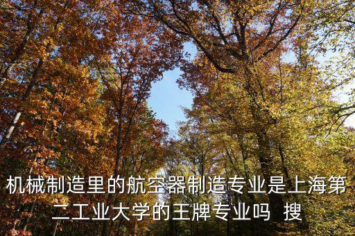 機械制造里的航空器制造專業(yè)是上海第二工業(yè)大學的王牌專業(yè)嗎  搜