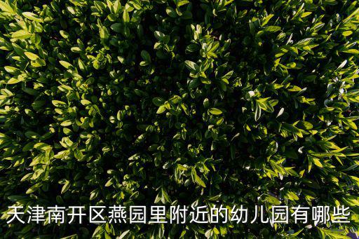天津市南開區(qū)日語幼兒園，天津幼兒園排名