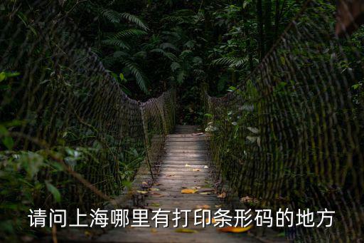 請(qǐng)問(wèn)上海哪里有打印條形碼的地方