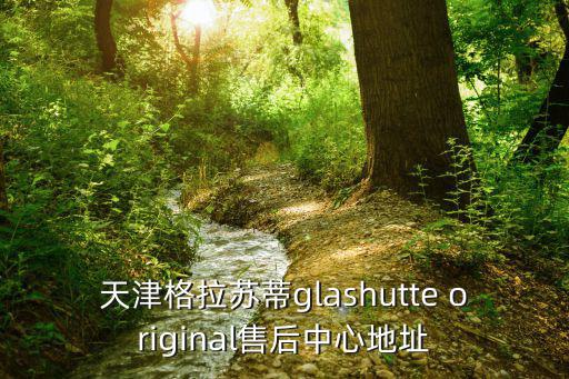 天津市小米門鏡售后，天津格拉蘇蒂glashutte original售后中心地址