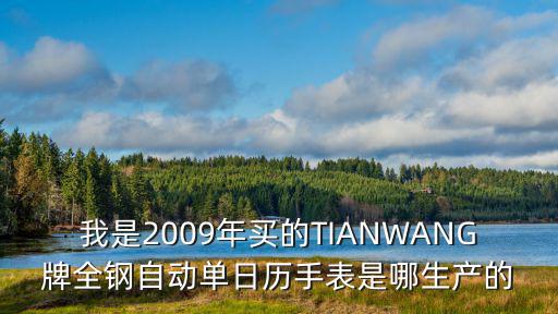 我是2009年買的TIANWANG牌全鋼自動單日歷手表是哪生產的
