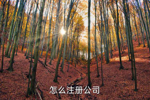 怎么注冊公司
