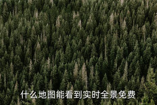 什么地圖能看到實(shí)時(shí)全景免費(fèi)