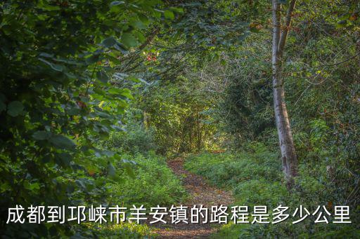 成都到邛崍市羊安鎮(zhèn)的路程是多少公里