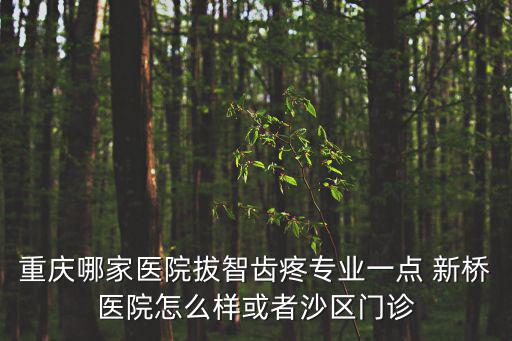 重慶哪家醫院拔智齒疼專業一點 新橋醫院怎么樣或者沙區門診