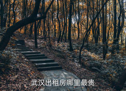 武漢出租房哪里最貴