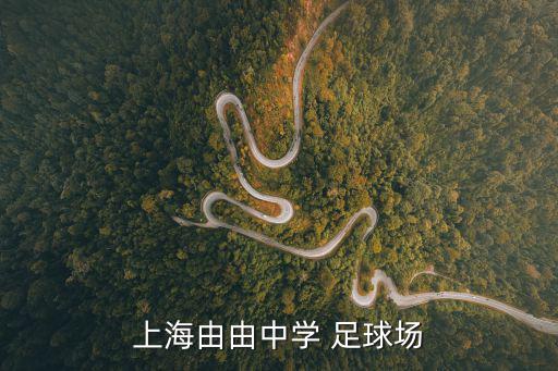 上海由由中學 足球場