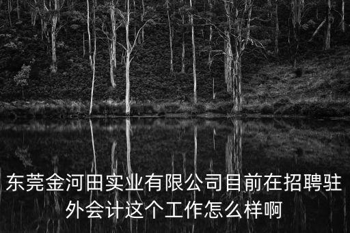 東莞金河田實(shí)業(yè)有限公司目前在招聘駐外會(huì)計(jì)這個(gè)工作怎么樣啊