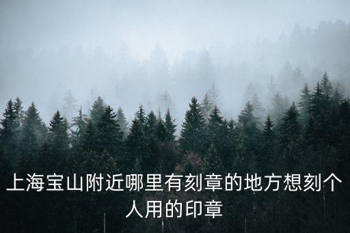 上海市寶山區(qū)上海大學(xué)印章，上海寶山附近哪里有刻章的地方想刻個(gè)人用的印章