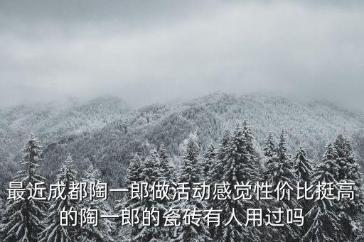 最近成都陶一郎做活動感覺性價比挺高的陶一郎的瓷磚有人用過嗎