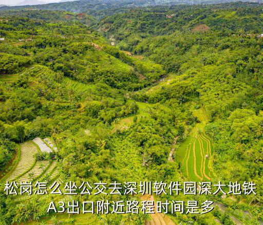 松崗怎么坐公交去深圳軟件園深大地鐵A3出口附近路程時間是多