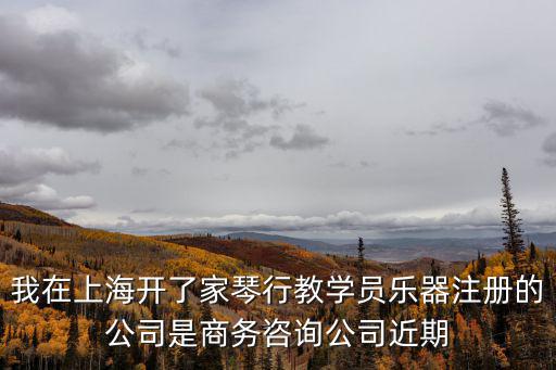 我在上海開了家琴行教學員樂器注冊的公司是商務咨詢公司近期