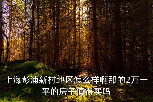 上海彭浦新村地區(qū)怎么樣啊那的2萬一平的房子值得買嗎