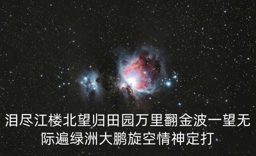 淚盡江樓北望歸田園萬里翻金波一望無際遍綠洲大鵬旋空情神定打