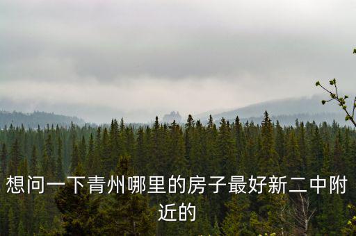 想問一下青州哪里的房子最好新二中附近的
