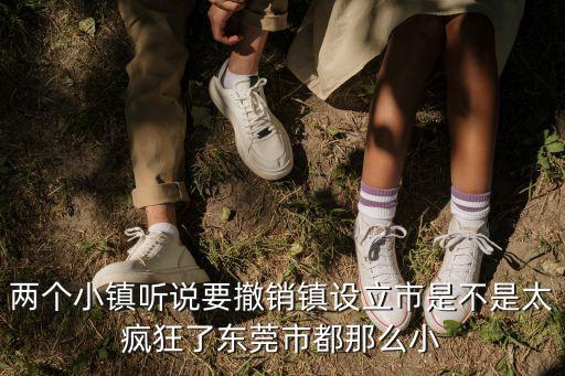 兩個小鎮聽說要撤銷鎮設立市是不是太瘋狂了東莞市都那么小
