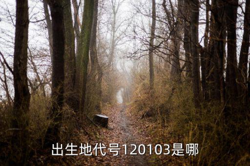 出生地代號120103是哪