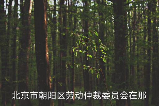 北京市朝陽(yáng)區(qū)勞動(dòng)仲裁委員會(huì)在那