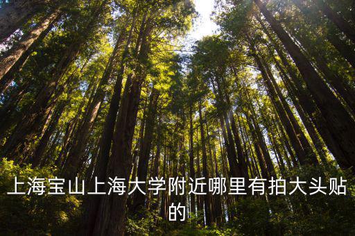 上海寶山上海大學附近哪里有拍大頭貼的