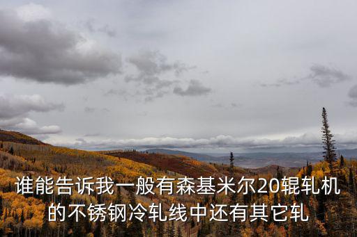 誰能告訴我一般有森基米爾20輥軋機的不銹鋼冷軋線中還有其它軋
