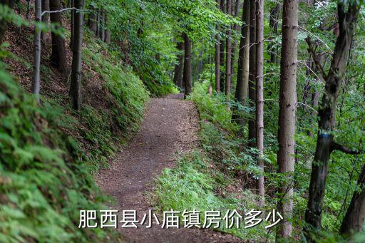 2022肥西房價如何，合肥市肥西縣小廟鎮美林苑房價多少