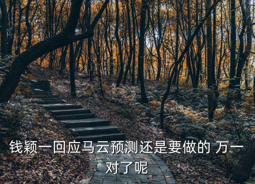 錢穎一回應馬云預測還是要做的 萬一對了呢