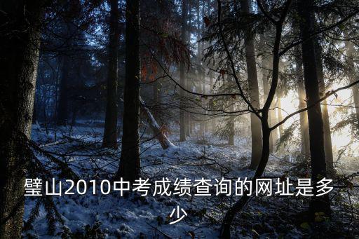 重慶市璧山中學成績查詢，誰知道璧山中學的期末成績怎么查