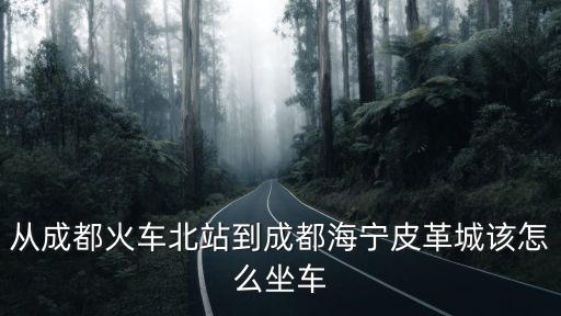 從成都火車北站到成都海寧皮革城該怎么坐車