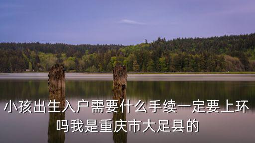 小孩出生入戶需要什么手續(xù)一定要上環(huán)嗎我是重慶市大足縣的