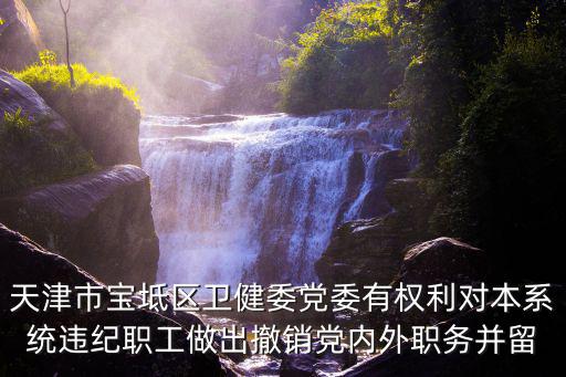 天津市寶坻區衛健委黨委有權利對本系統違紀職工做出撤銷黨內外職務并留