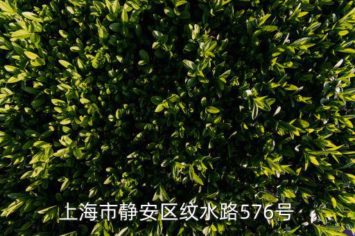 上海市靜安區紋水路576號