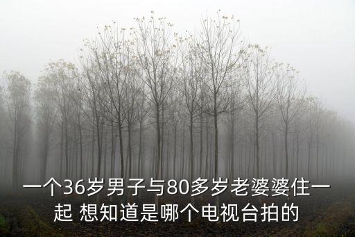 廣州電臺梁慧儀，阮星航的老婆是誰