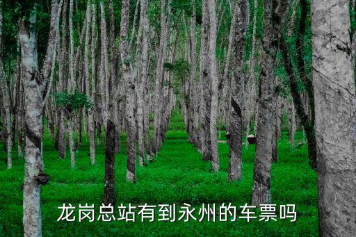 龍崗總站有到永州的車票嗎