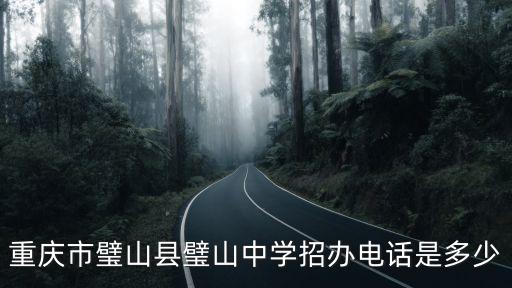 重慶市璧山區 璧山中學謝榜偉，璧山中學有多少年了