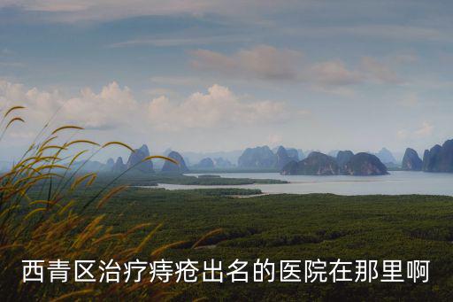 西青區治療痔瘡出名的醫院在那里啊