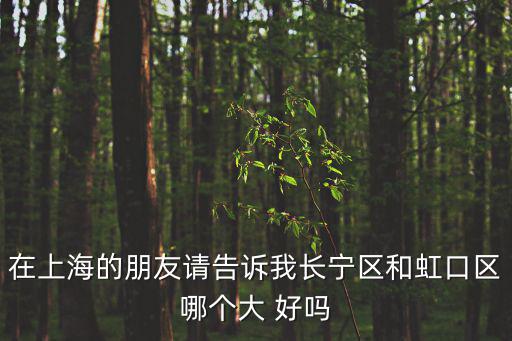 在上海的朋友請告訴我長寧區和虹口區哪個大 好嗎