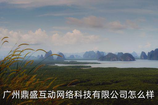 廣州鼎盛互動網絡科技有限公司怎么樣