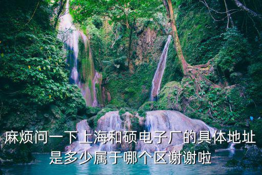 麻煩問一下上海和碩電子廠的具體地址是多少屬于哪個區謝謝啦