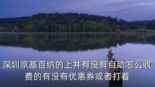 深圳京基百納的上井有沒有自助怎么收費的有沒有優惠券或者打著