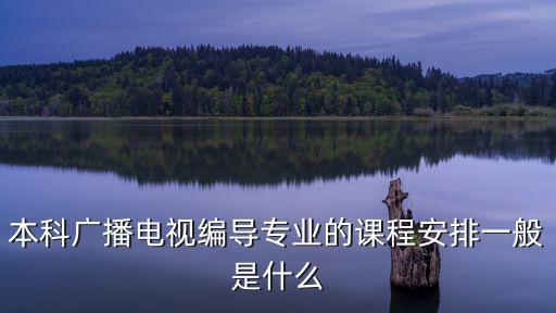 本科廣播電視編導專業的課程安排一般是什么