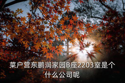 廣州格南云影文化公司，菜戶營東鵬潤家園B座2203室是個什么公司呢