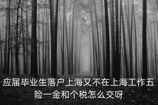 應屆畢業生落戶上海又不在上海工作五險一金和個稅怎么交呀