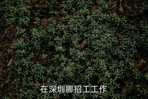在深圳哪招工工作