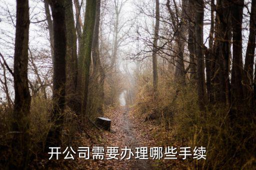 開公司需要辦理哪些手續